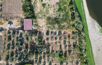 MENEMEN SÜLEYMANLIDA GEDİZ NEHRİ KENARINDA 571M2 HOBİ BAHÇELİ EV