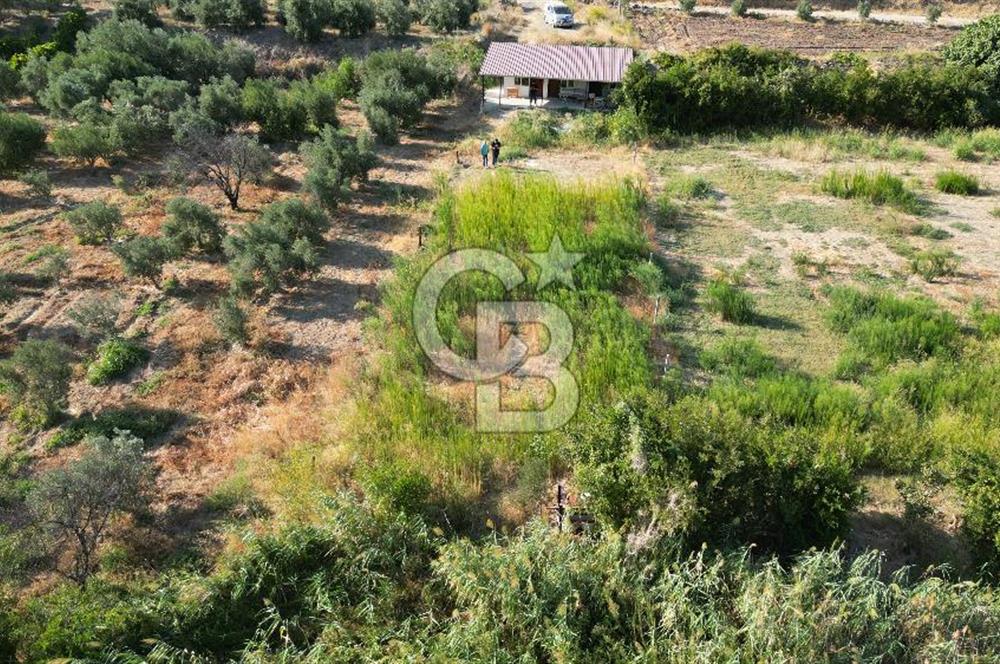 MENEMEN SÜLEYMANLIDA GEDİZ NEHRİ KENARINDA 571M2 HOBİ BAHÇELİ EV