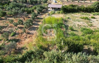 MENEMEN SÜLEYMANLIDA GEDİZ NEHRİ KENARINDA 571M2 HOBİ BAHÇELİ EV