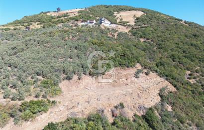 CB ADDRESS’TEN MUDANYA MİRZAOBA’DA SATILIK ARAZİ