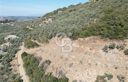 CB ADDRESS’TEN MUDANYA MİRZAOBA’DA SATILIK ARAZİ