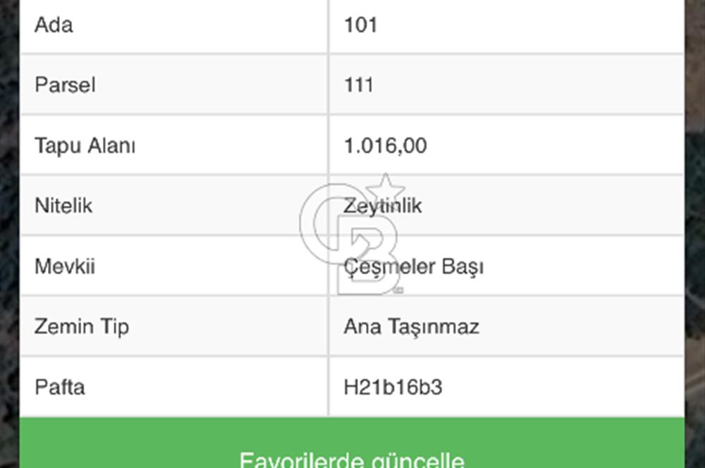 CB ADDRESS’TEN MUDANYA MİRZAOBA’DA SATILIK ARAZİ