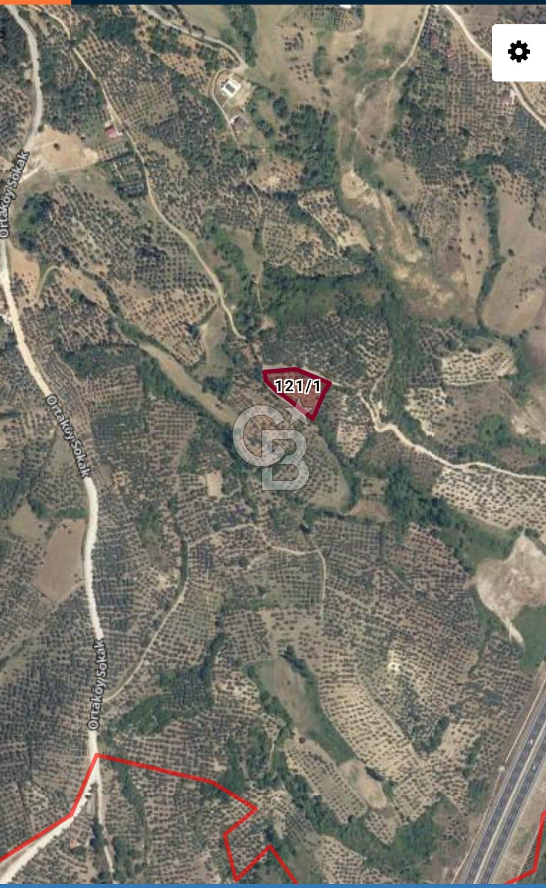 Bursa İli Orhangazi Aşıpınarı Mevkiinde Satılık Zeytinlik. 