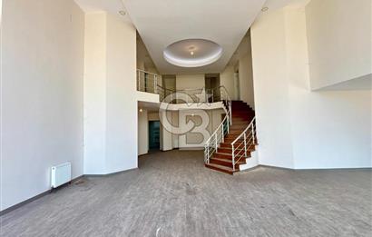 BAHÇEŞEHİR UPHİLL'DE 1100 M2 HAVUZLU, ÖZEL BAHÇELİ MALİKANE