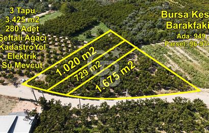 BURSA KESTEL BARAKFAKİH SATILIK ŞEFTALİ BAHÇESİ YATIRIM FIRSATI