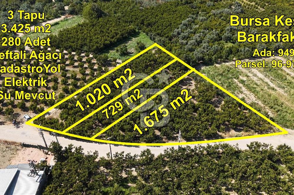 BURSA KESTEL BARAKFAKİH SATILIK ŞEFTALİ BAHÇESİ YATIRIM FIRSATI