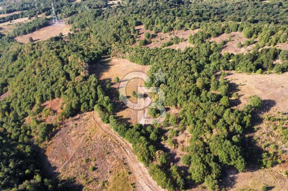 KARAMÜRSEL TAHTALI'DA SATILIK 5773 m² ARAZİ %5 İMARLI