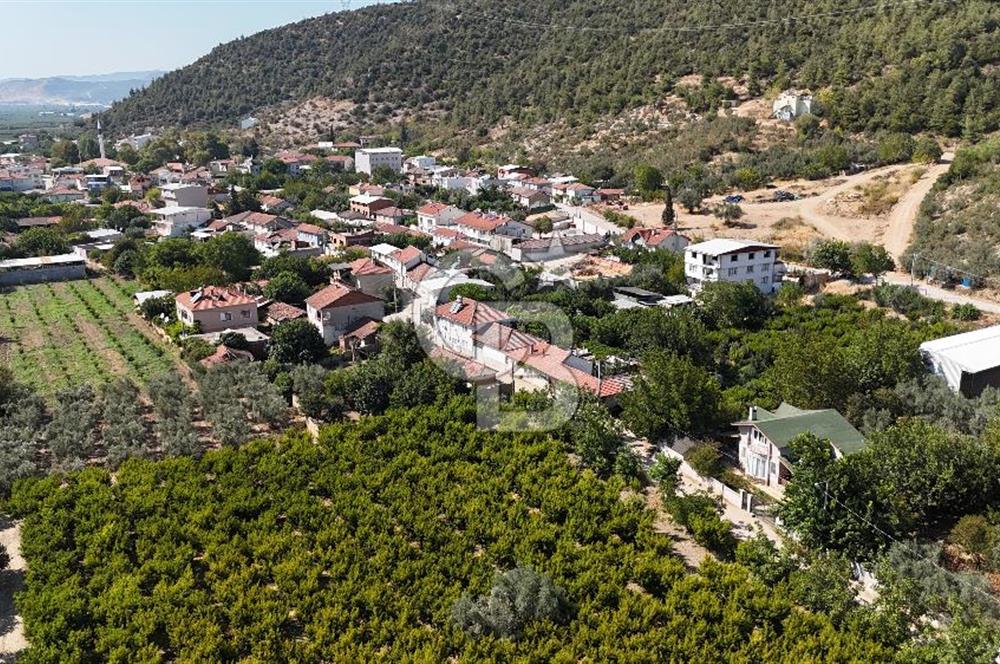 BURSA KESTEL BARAKFAKİH SATILIK ŞEFTALİ BAHÇESİ YATIRIM FIRSATI