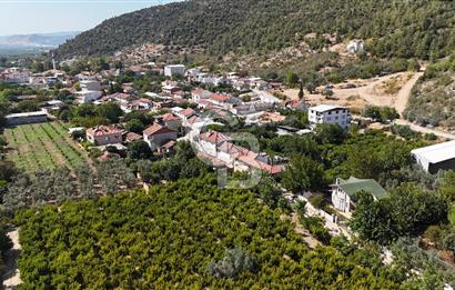 BURSA KESTEL BARAKFAKİH SATILIK ŞEFTALİ BAHÇESİ YATIRIM FIRSATI