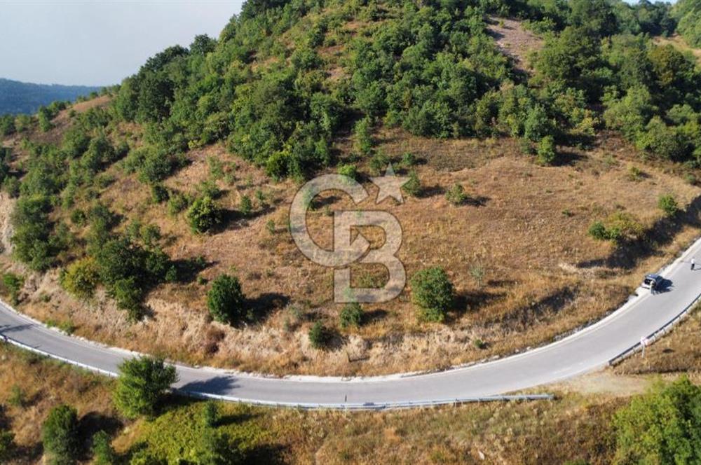 FULACIK'TA 2981 m² ORMAN VE GÖL MANZARALI %5 İMARLI TARLA