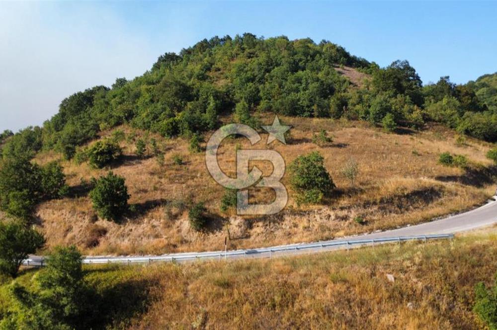 FULACIK'TA 2981 m² ORMAN VE GÖL MANZARALI %5 İMARLI TARLA