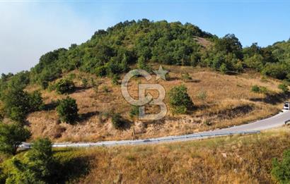 FULACIK'TA 2981 m² ORMAN VE GÖL MANZARALI %5 İMARLI TARLA