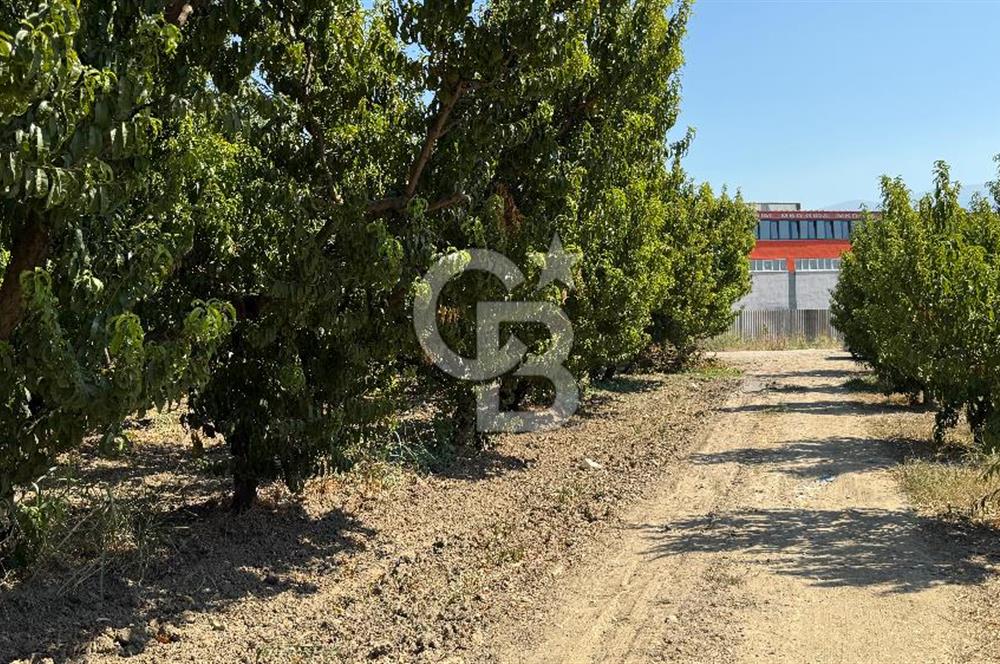 BURSA KESTEL BARAKFAKİH SATILIK ŞEFTALİ BAHÇESİ YATIRIM FIRSATI