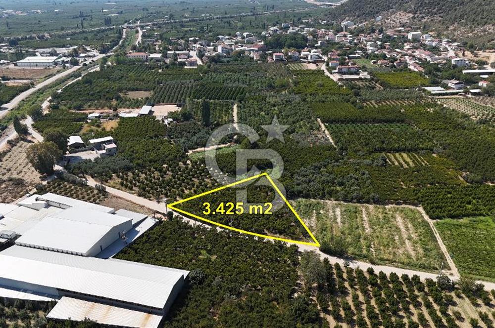 BURSA KESTEL BARAKFAKİH SATILIK ŞEFTALİ BAHÇESİ YATIRIM FIRSATI