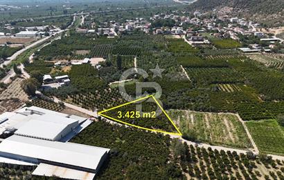BURSA KESTEL BARAKFAKİH SATILIK ŞEFTALİ BAHÇESİ YATIRIM FIRSATI