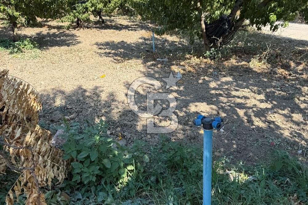 BURSA KESTEL BARAKFAKİH SATILIK ŞEFTALİ BAHÇESİ YATIRIM FIRSATI