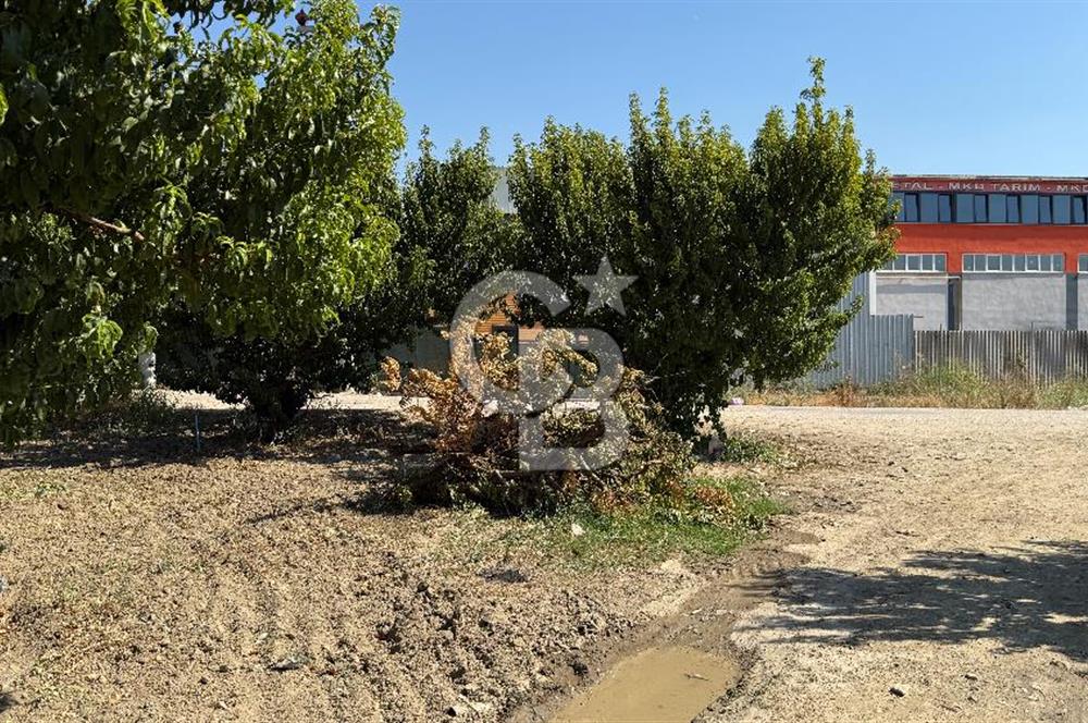 BURSA KESTEL BARAKFAKİH SATILIK ŞEFTALİ BAHÇESİ YATIRIM FIRSATI