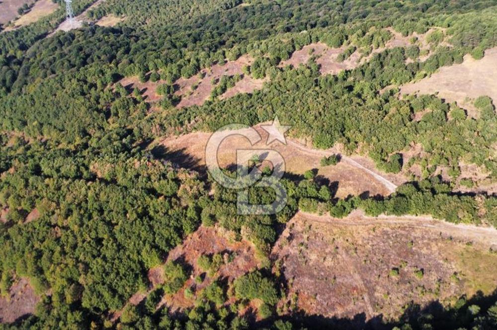KARAMÜRSEL TAHTALI'DA SATILIK 5773 m² ARAZİ %5 İMARLI