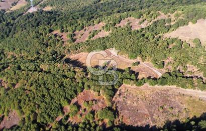 KARAMÜRSEL TAHTALI'DA SATILIK 5773 m² ARAZİ %5 İMARLI