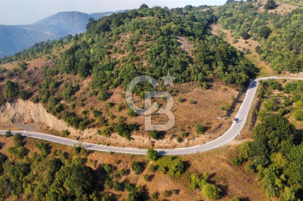 FULACIK'TA 2981 m² ORMAN VE GÖL MANZARALI %5 İMARLI TARLA