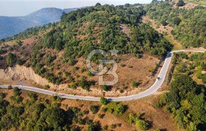 FULACIK'TA 2981 m² ORMAN VE GÖL MANZARALI %5 İMARLI TARLA