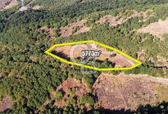 KARAMÜRSEL TAHTALI'DA SATILIK 5773 m² ARAZİ %5 İMARLI