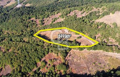 KARAMÜRSEL TAHTALI'DA SATILIK 5773 m² ARAZİ %5 İMARLI