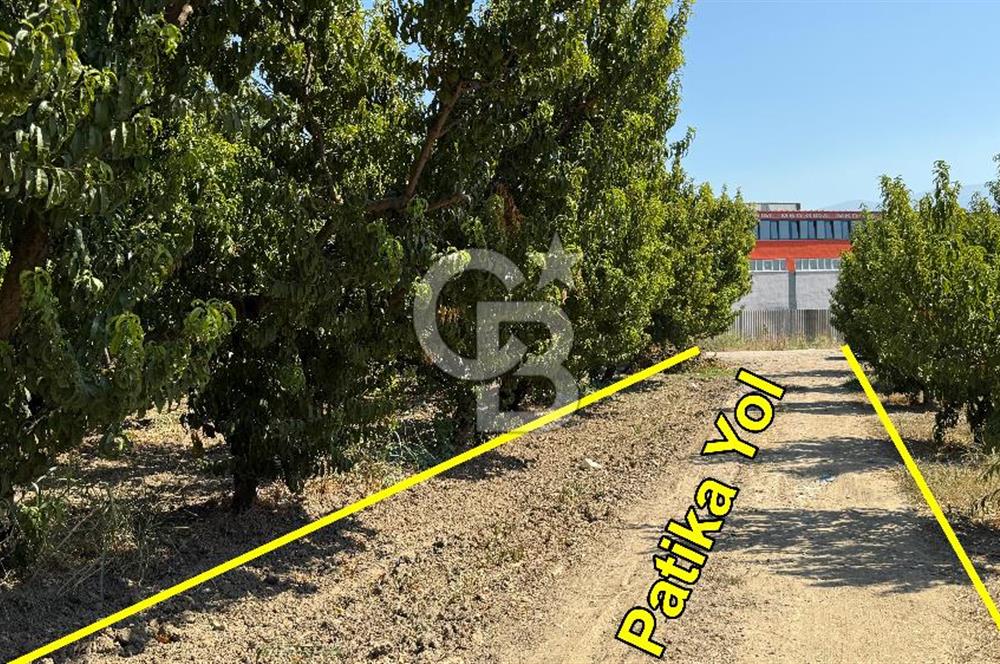 BURSA KESTEL BARAKFAKİH SATILIK ŞEFTALİ BAHÇESİ YATIRIM FIRSATI