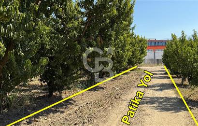 BURSA KESTEL BARAKFAKİH SATILIK ŞEFTALİ BAHÇESİ YATIRIM FIRSATI