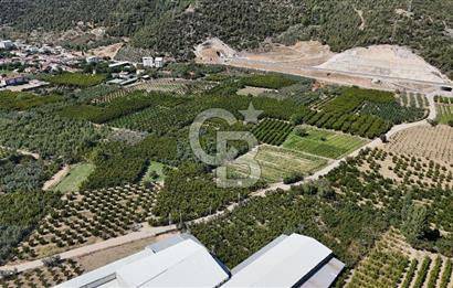 BURSA KESTEL BARAKFAKİH SATILIK ŞEFTALİ BAHÇESİ YATIRIM FIRSATI