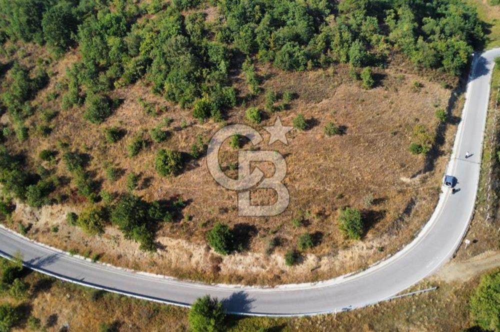 FULACIK'TA 2981 m² ORMAN VE GÖL MANZARALI %5 İMARLI TARLA