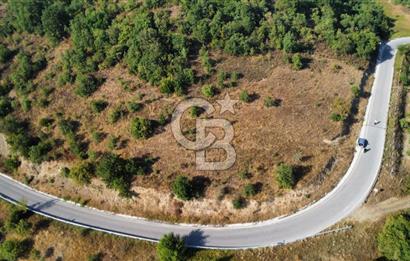 FULACIK'TA 2981 m² ORMAN VE GÖL MANZARALI %5 İMARLI TARLA