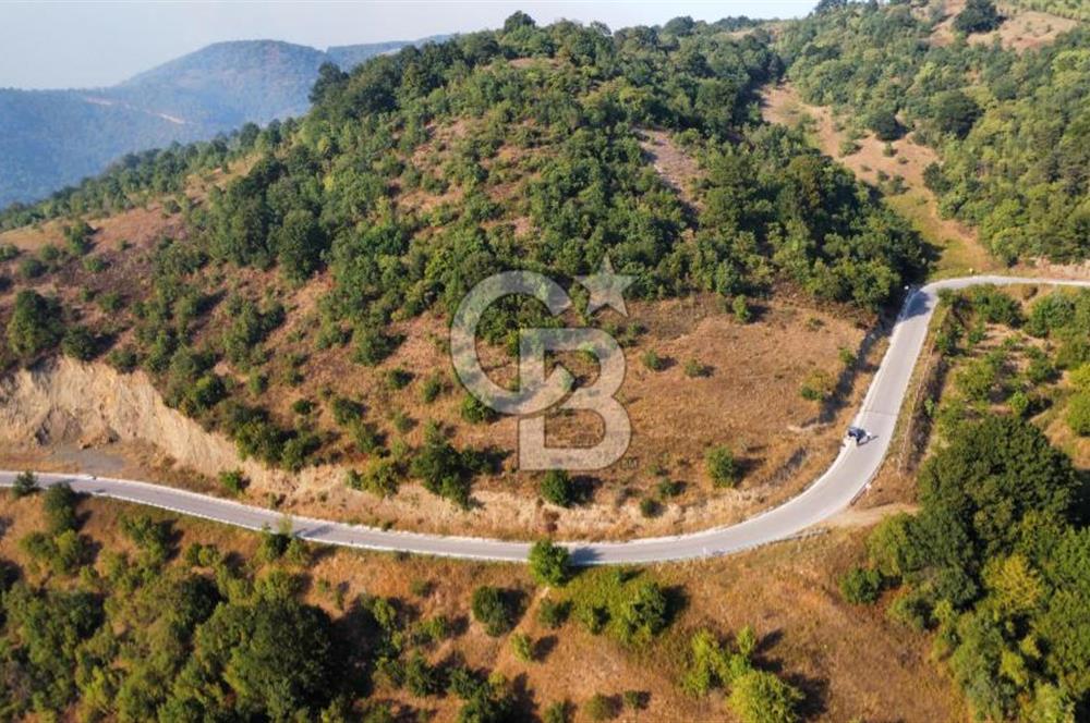 FULACIK'TA 2981 m² ORMAN VE GÖL MANZARALI %5 İMARLI TARLA