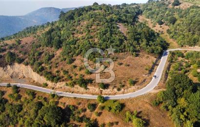 FULACIK'TA 2981 m² ORMAN VE GÖL MANZARALI %5 İMARLI TARLA