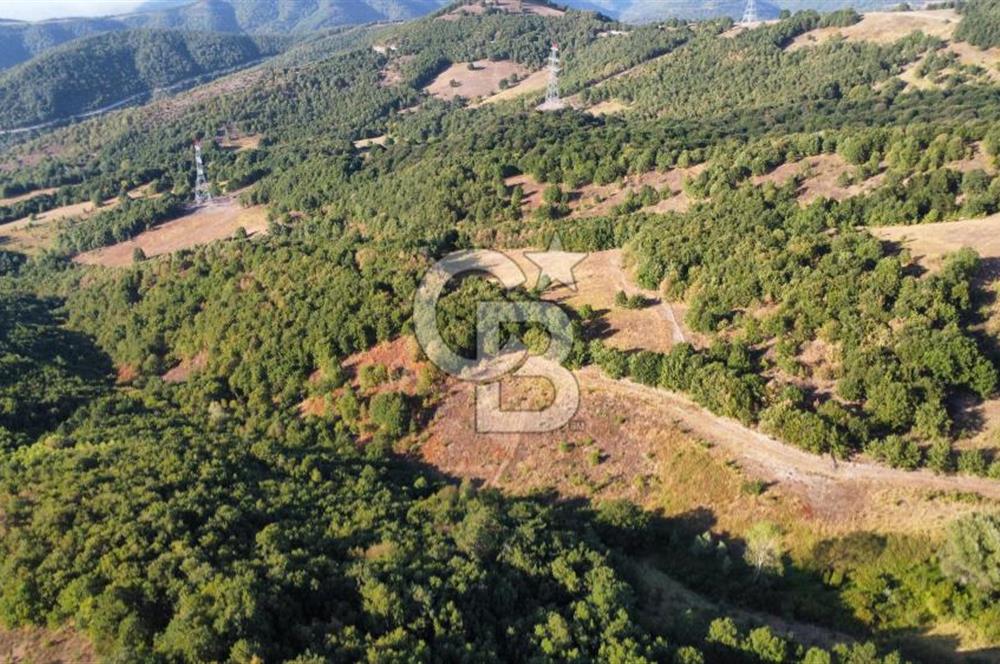 KARAMÜRSEL TAHTALI'DA SATILIK 5773 m² ARAZİ %5 İMARLI