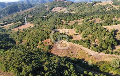 KARAMÜRSEL TAHTALI'DA SATILIK 5773 m² ARAZİ %5 İMARLI