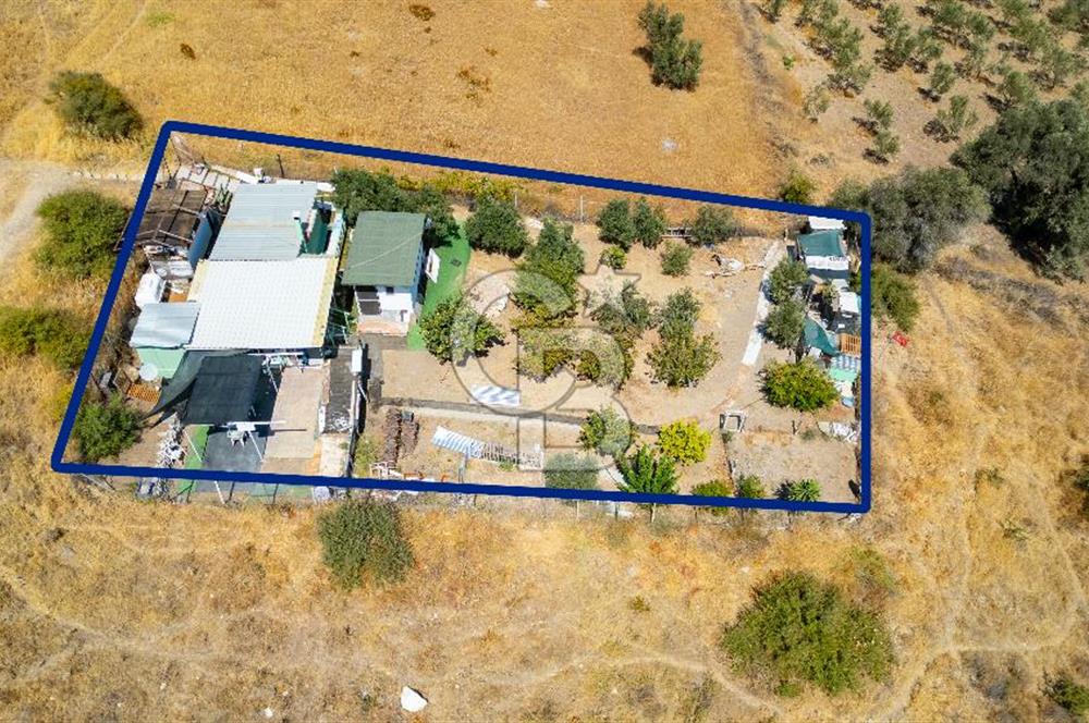 Foça Kocamehmetler'de Satılık Tarla