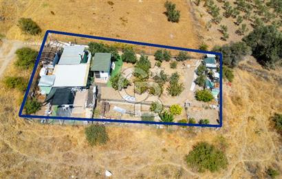 Foça Kocamehmetler'de Satılık Tarla