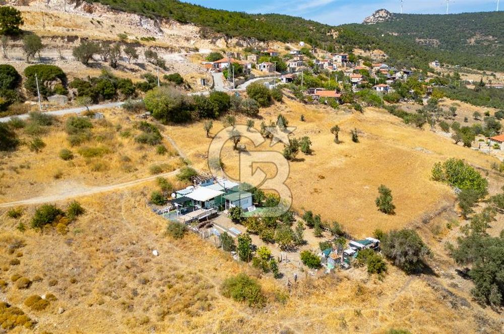 Foça Kocamehmetler'de Satılık Tarla