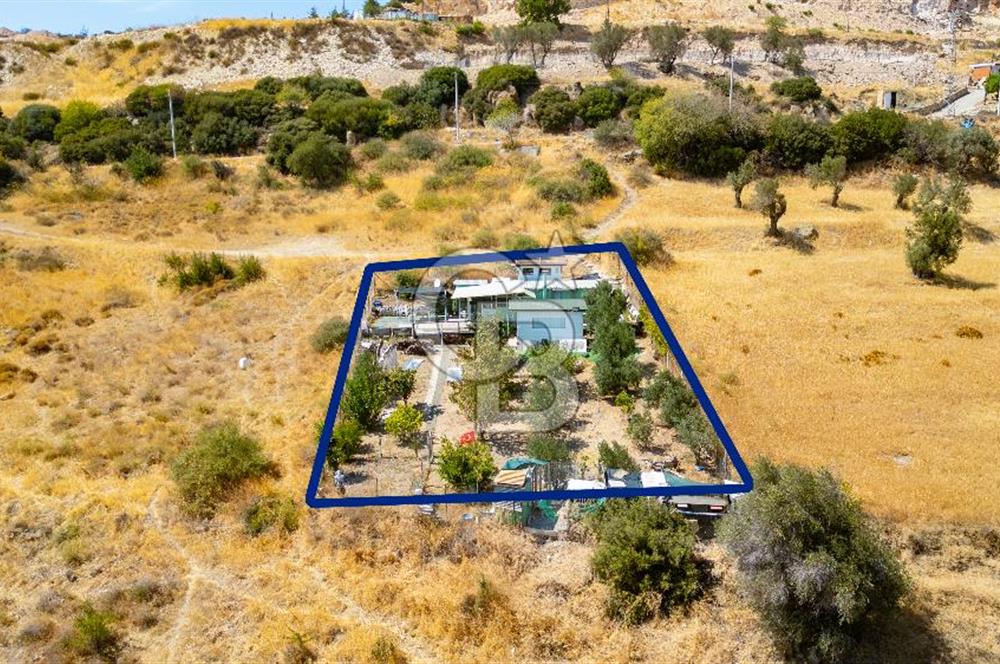 Foça Kocamehmetler'de Satılık Tarla