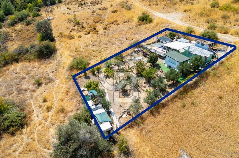 Foça Kocamehmetler'de Satılık Tarla