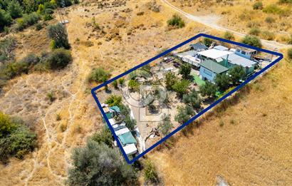 Foça Kocamehmetler'de Satılık Tarla