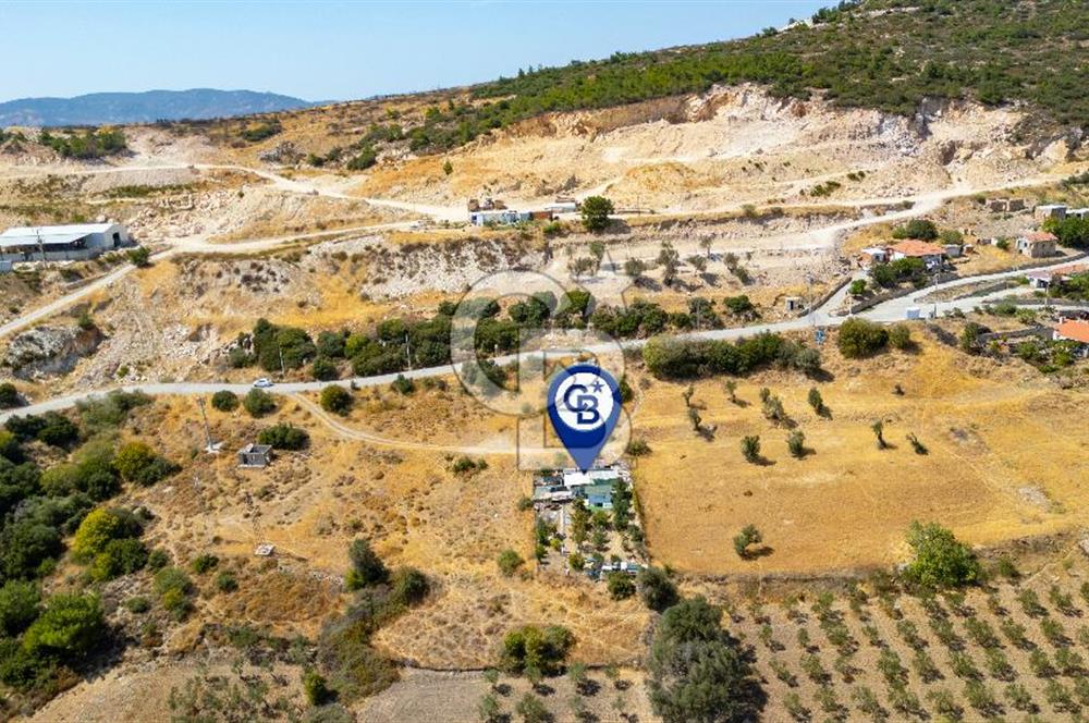 Foça Kocamehmetler'de Satılık Tarla