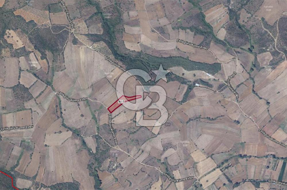 SATILIK TARLA TEK TAPU-ÇANAKKALE BİGA