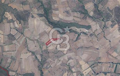 SATILIK TARLA TEK TAPU-ÇANAKKALE BİGA