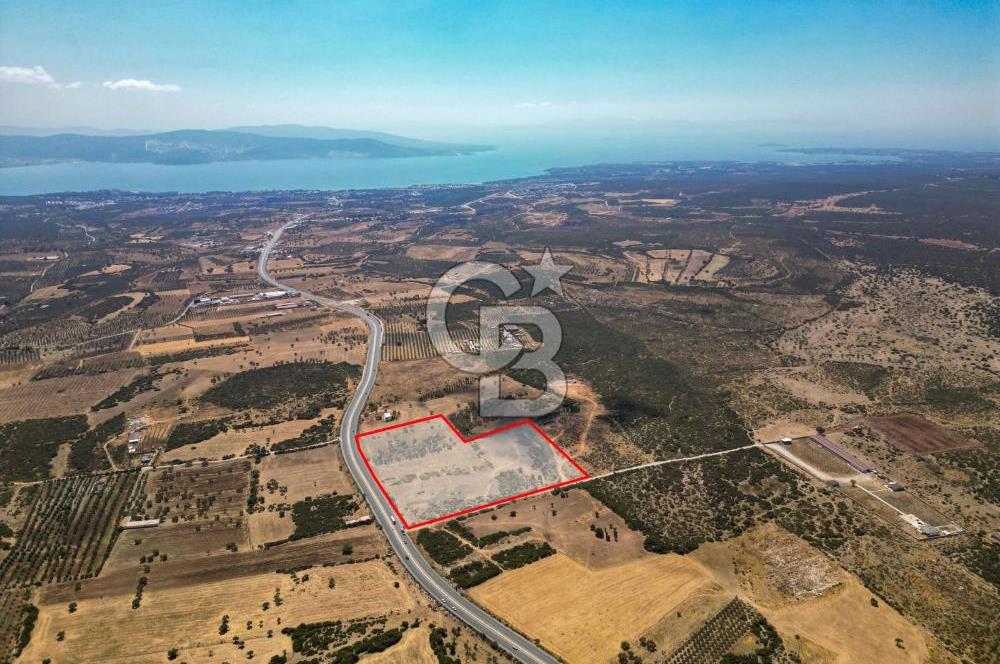 didim akyeni koyde anayola cepheli 54776 m2 tarla
