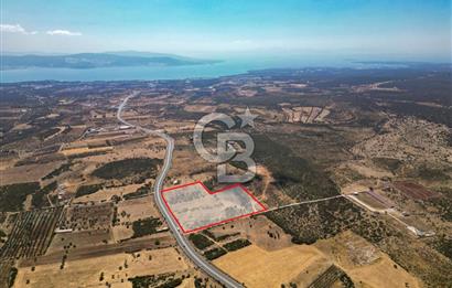 didim akyeni koyde anayola cepheli 54776 m2 tarla
