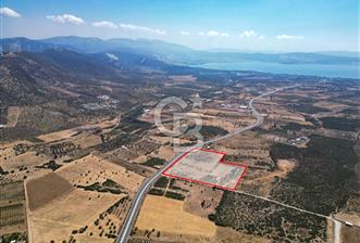 didim akyeni koyde anayola cepheli 54776 m2 tarla