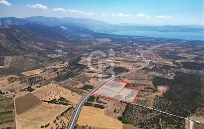 didim akyeni koyde anayola cepheli 54776 m2 tarla