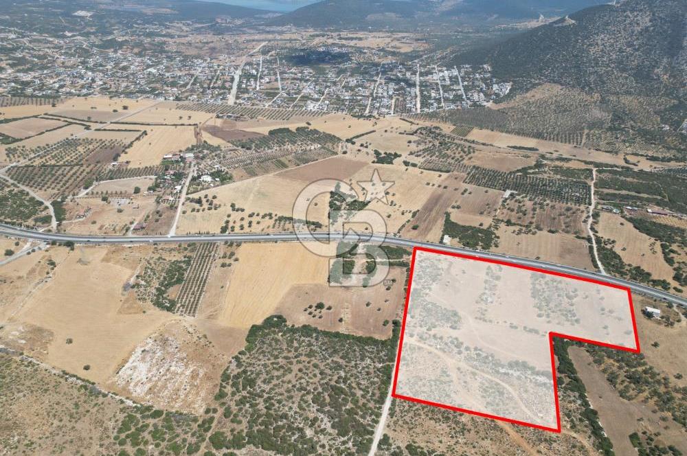 didim akyeni koyde anayola cepheli 54776 m2 tarla